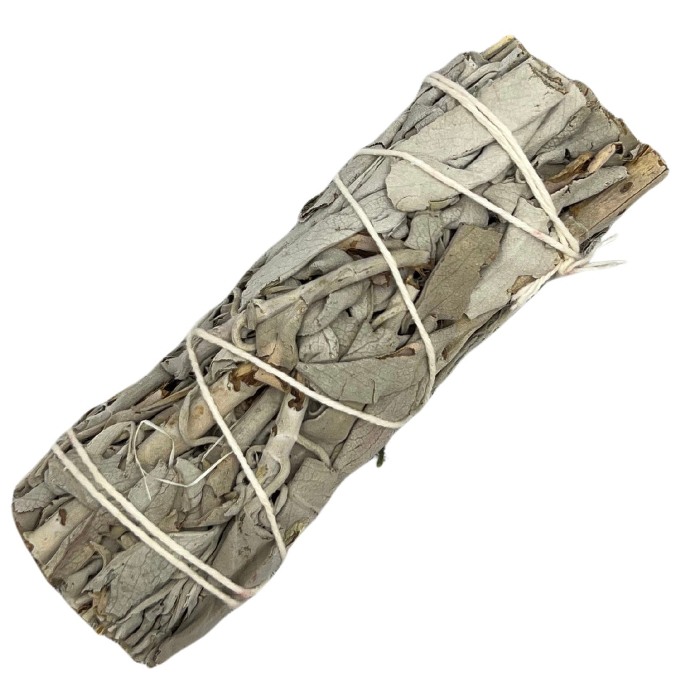 Bundled sage stick on a white background