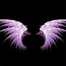 Purple wing-like structures on a black background